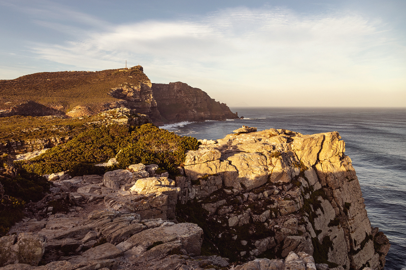 Kapstadt 9J4A1173 - Model