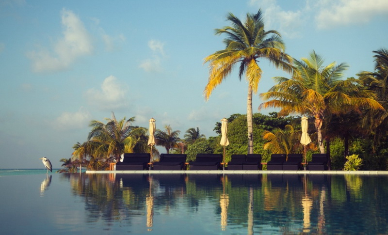 Malediven 035424 - Model